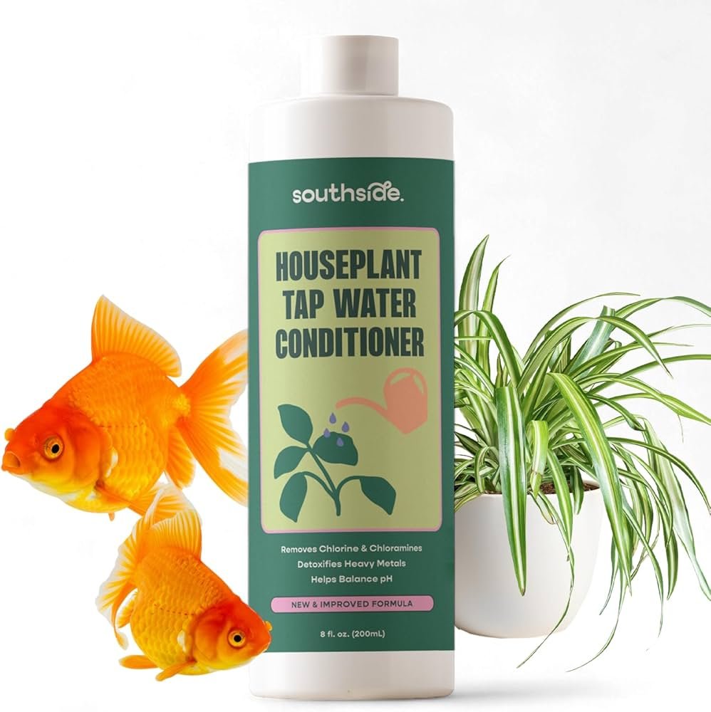 Can Aquarium Plants Improve Water Quality?