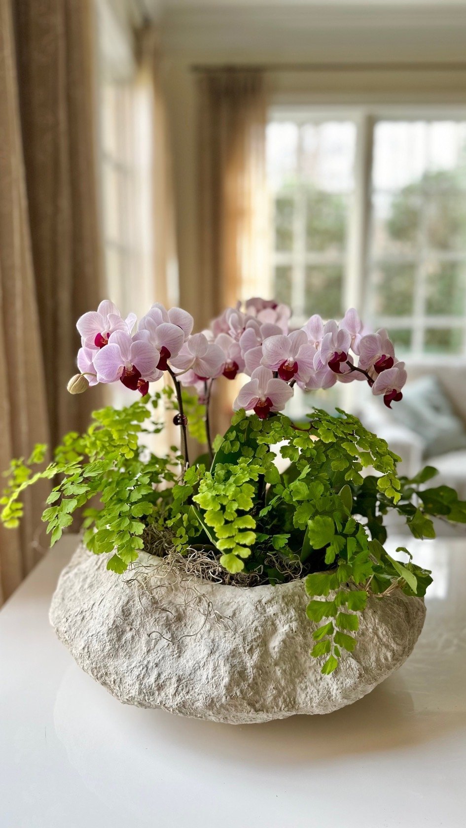 How to Start an Indoor Flower Garden?