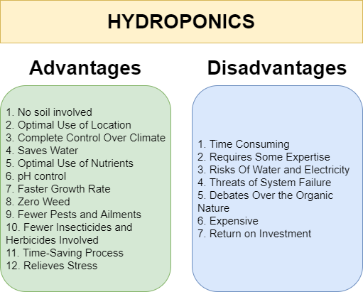 What are the Disadvantages of Hydroponics?