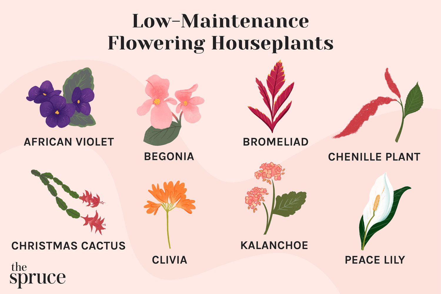 What are the Easiest Flowers to Grow Indoors?