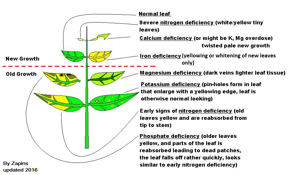 Aquarium Plant Deficiency Chart