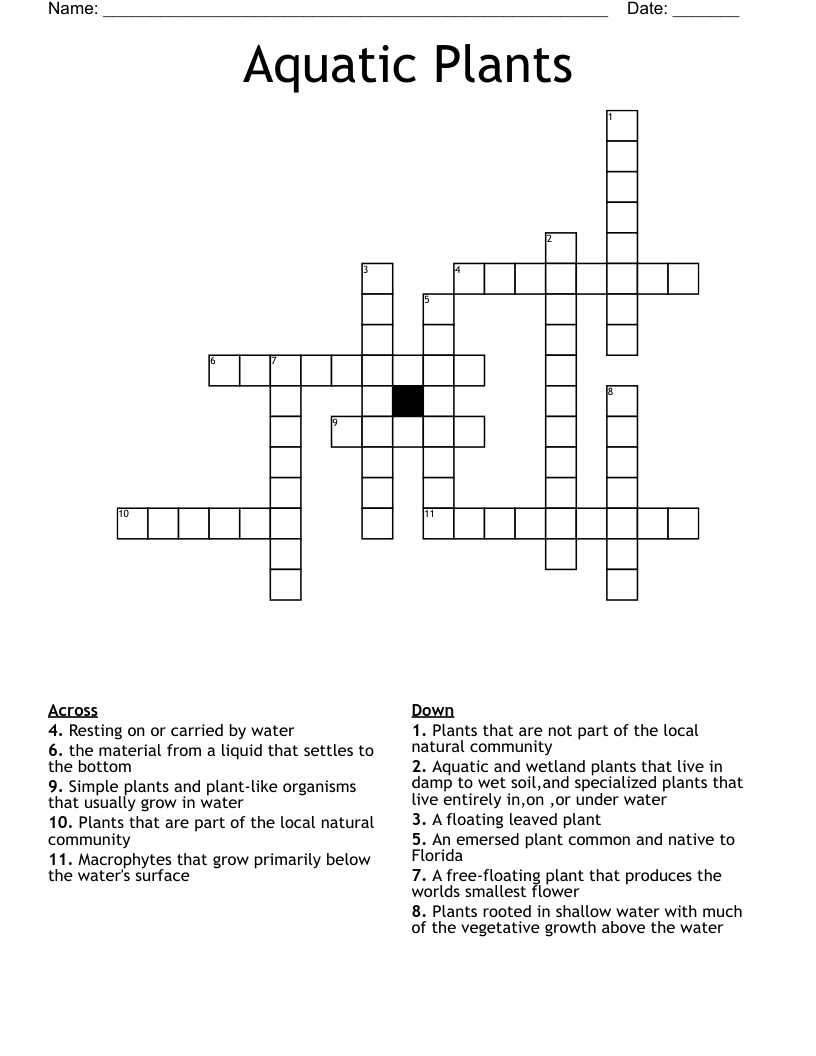 Aquatic Plant Crossword Clue 5 4