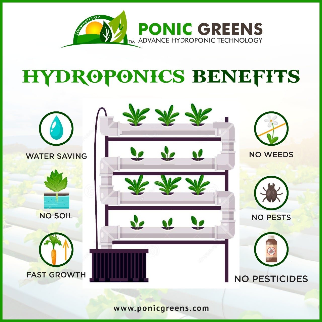 Hydroponics Benefits