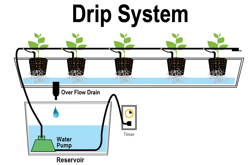 Hydroponics Drip System