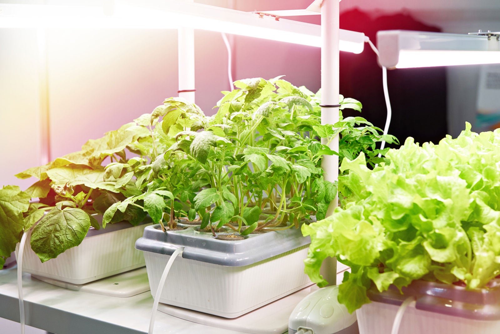 Hydroponics Equipment
