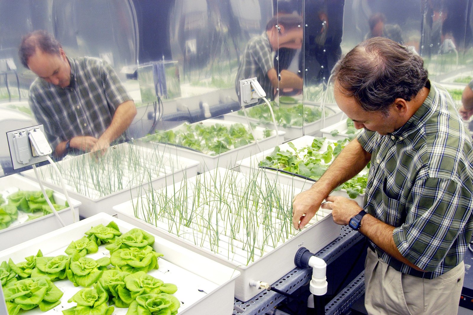 Hydroponics Gardening