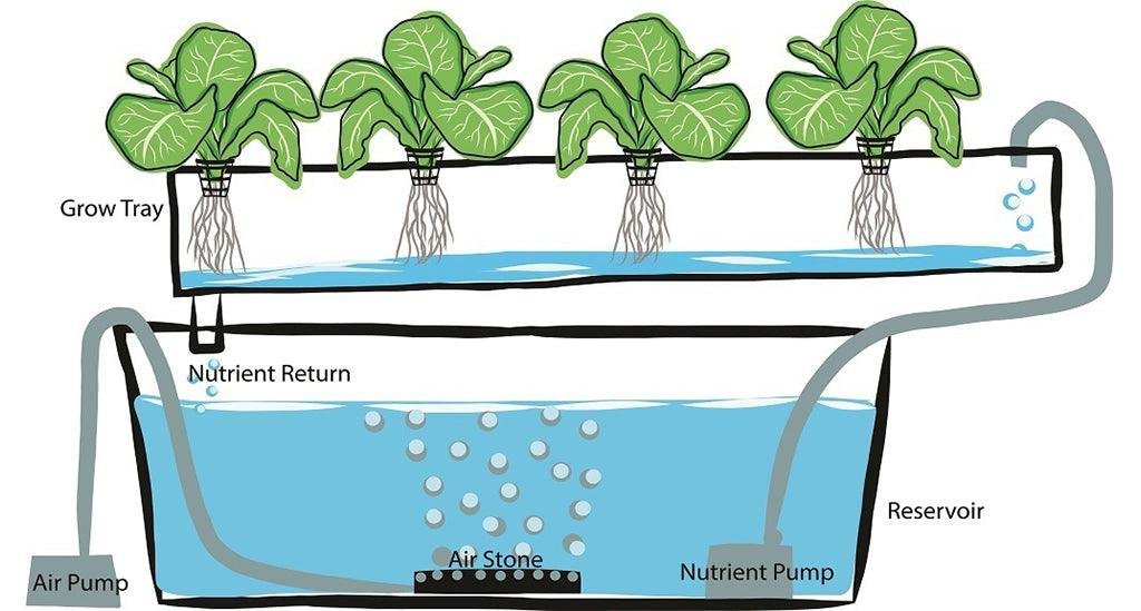 Hydroponics System