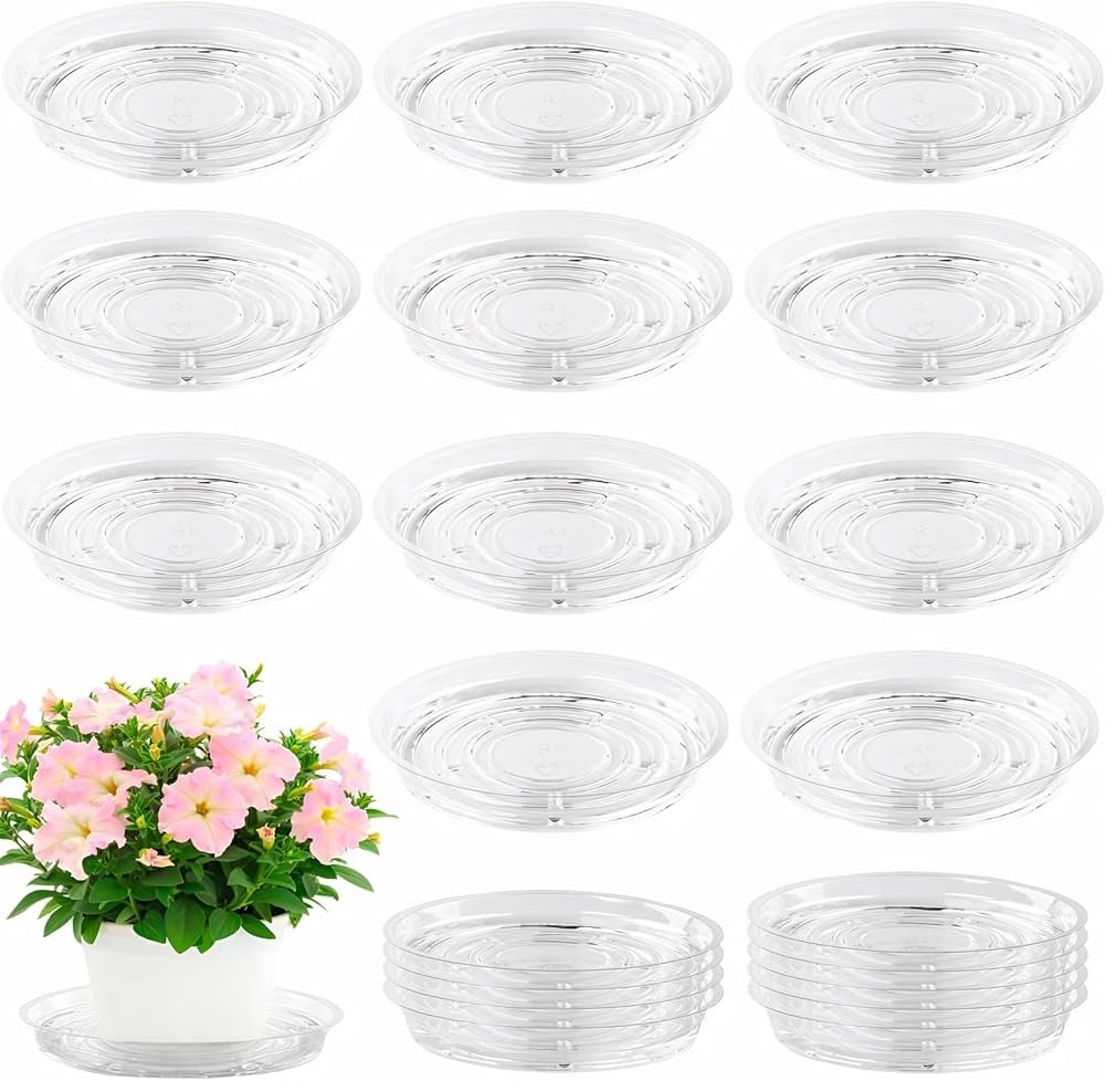 Small Plant Dish