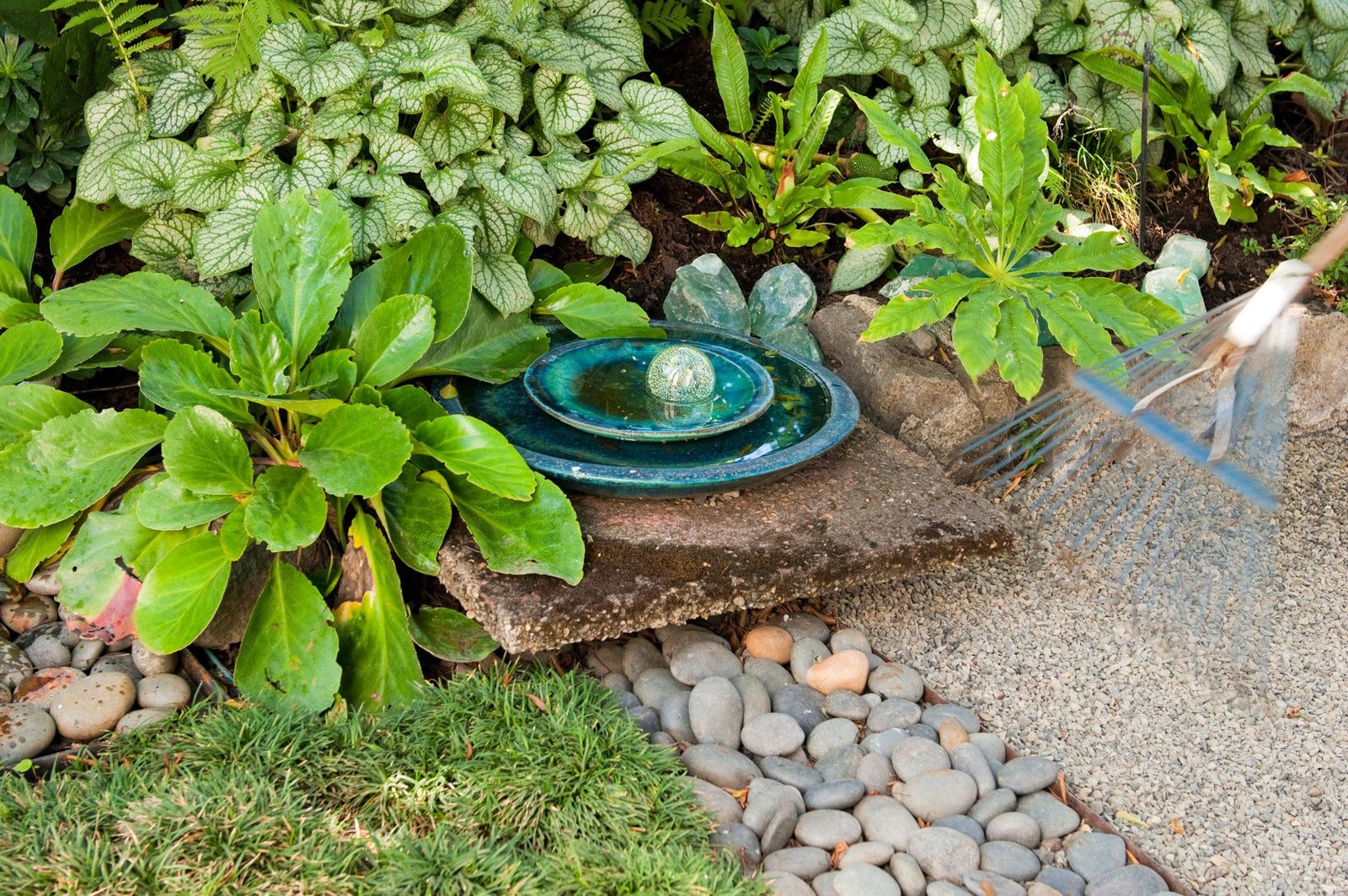 Small Plants around Water Feature