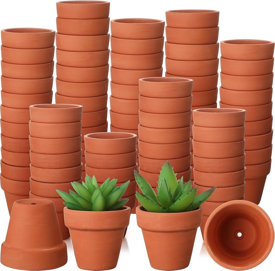 Small Plants Bulk