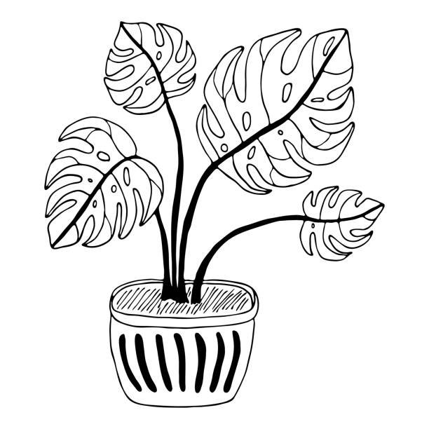 Small Plants Clipart Black And White