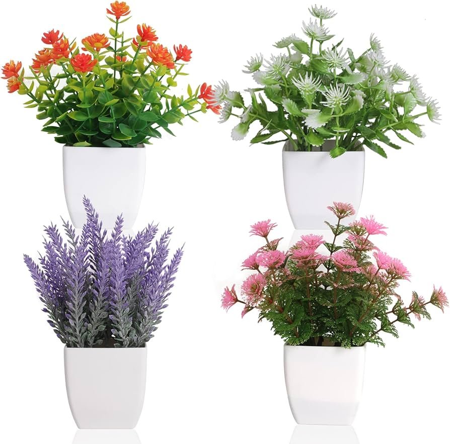 Small Plants Colorful